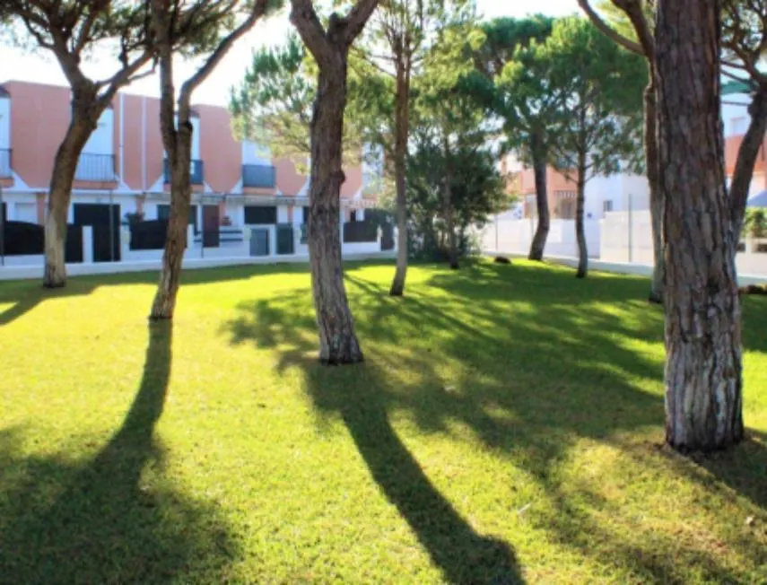 Apartamento En La Playa De La Barrosa Apartment Chiclana de la Frontera